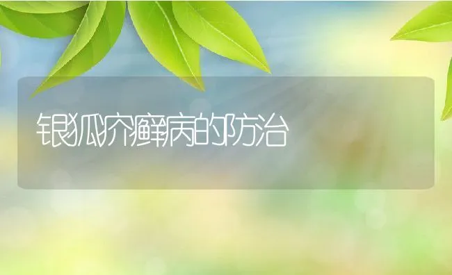 银狐疥癣病的防治 | 水产养殖知识