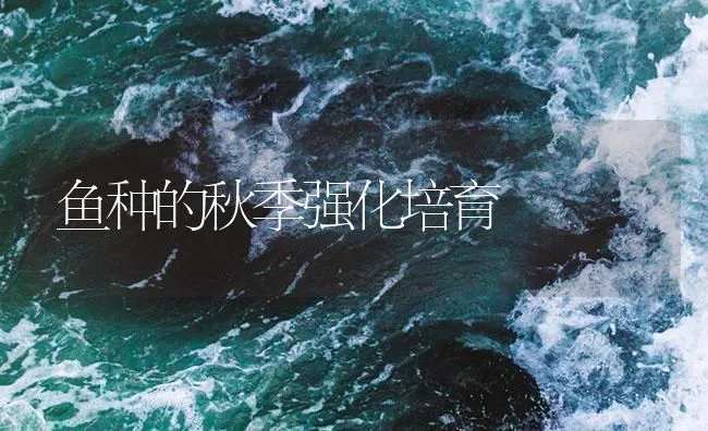 鱼种的秋季强化培育 | 海水养殖技术