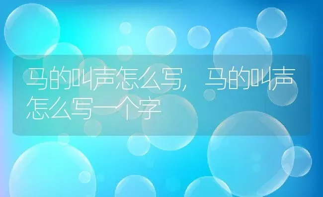 马的叫声怎么写,马的叫声怎么写一个字 | 宠物百科知识