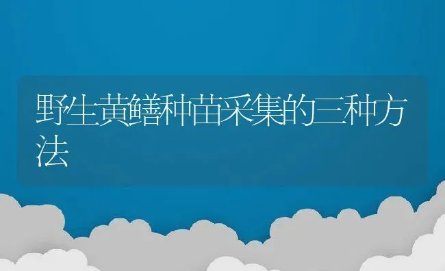 野生黄鳝种苗采集的三种方法 | 动物养殖百科