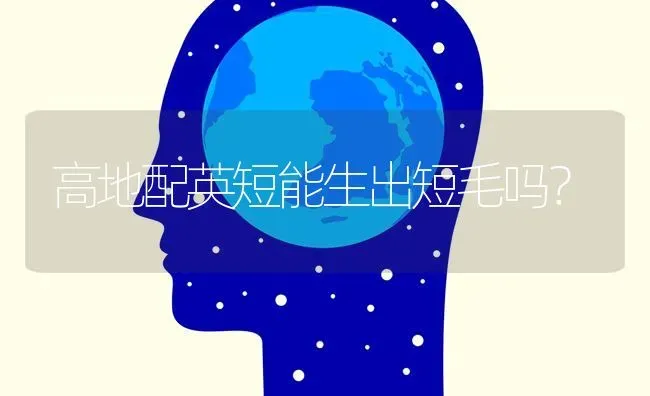 高地配英短能生出短毛吗？ | 动物养殖问答