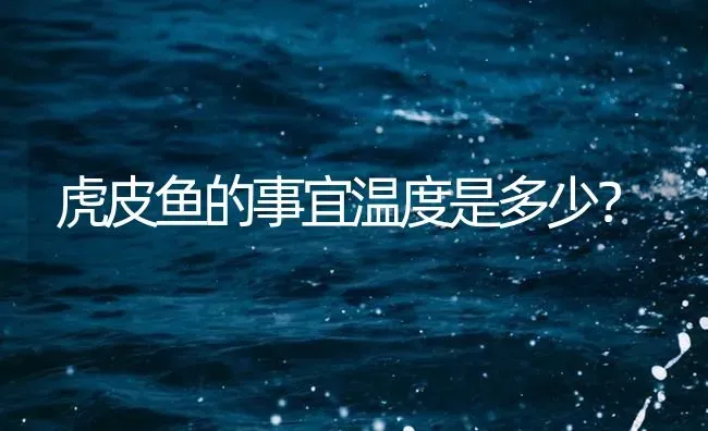 虎皮鱼的事宜温度是多少？ | 鱼类宠物饲养