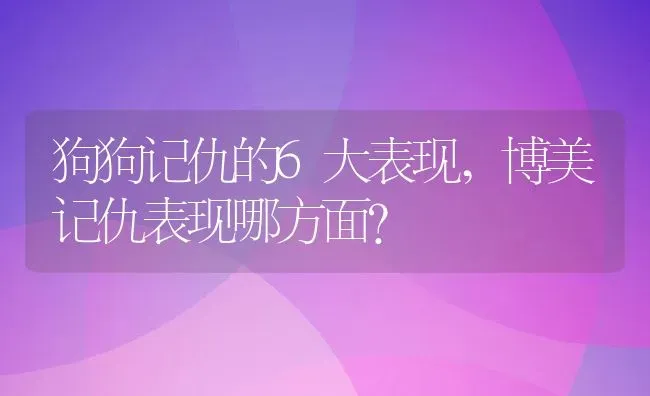 狗狗记仇的6大表现,博美记仇表现哪方面？ | 宠物百科知识