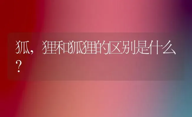 狐，狸和狐狸的区别是什么？ | 动物养殖问答