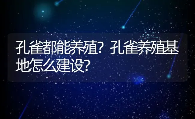 孔雀都能养殖？孔雀养殖基地怎么建设？ | 动物养殖百科