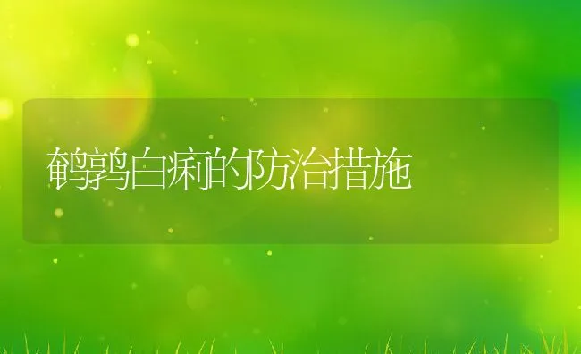 鹌鹑白痢的防治措施 | 动物养殖学堂