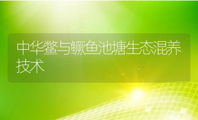 中华鳖与鳜鱼池塘生态混养技术 | 动物养殖饲料