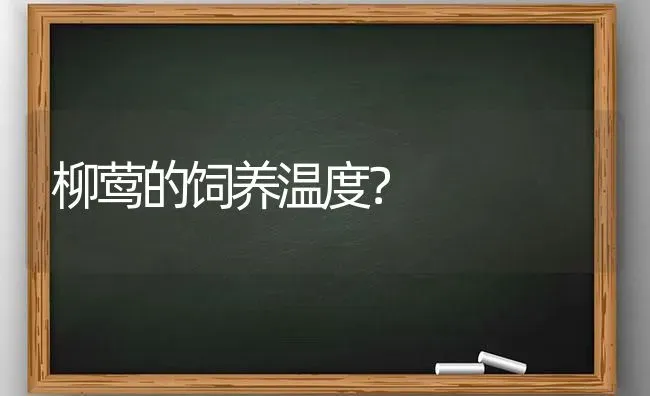 狮子为什么要长鬃毛？ | 动物养殖问答