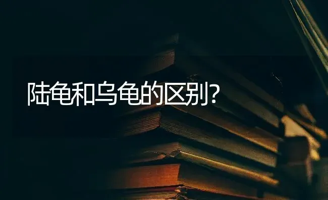 陆龟和乌龟的区别？ | 动物养殖问答