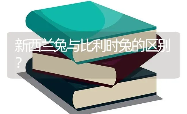 新西兰兔与比利时兔的区别？ | 动物养殖问答