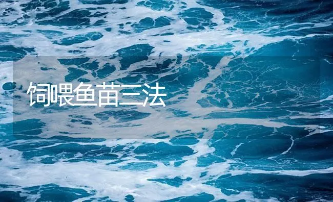 饲喂鱼苗三法 | 海水养殖技术