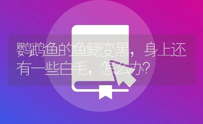 鹦鹉鱼的鱼鳃变黑，身上还有一些白毛，怎么办？ | 鱼类宠物饲养