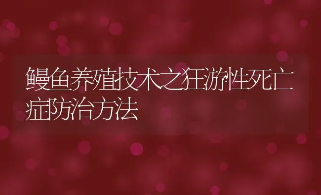 鳗鱼养殖技术之狂游性死亡症防治方法 | 动物养殖教程