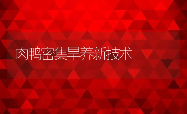 肉鸭密集旱养新技术 | 动物养殖饲料