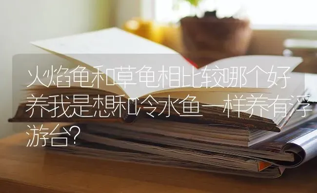 古牧小时候是蓝眼睛吗？ | 动物养殖问答