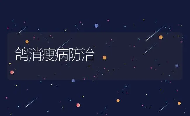 鸽消瘦病防治 | 水产养殖知识