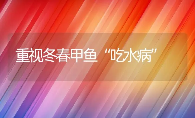 重视冬春甲鱼“吃水病” | 动物养殖饲料