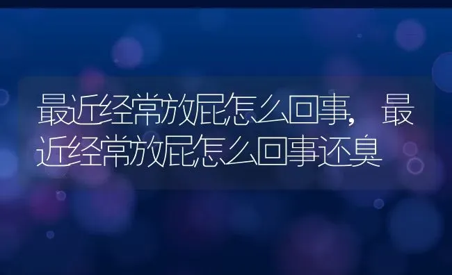 最近经常放屁怎么回事,最近经常放屁怎么回事还臭 | 宠物百科知识