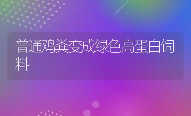 普通鸡粪变成绿色高蛋白饲料 | 动物养殖饲料