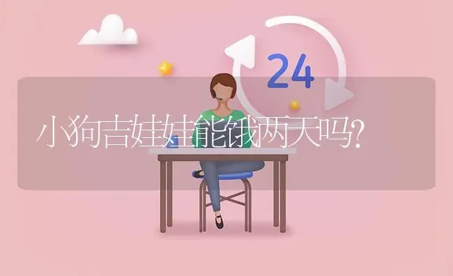 小狗吉娃娃能饿两天吗？ | 动物养殖问答