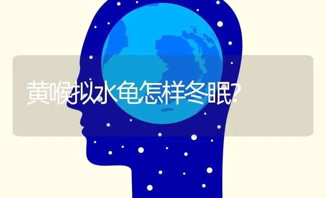 黄喉拟水龟怎样冬眠？ | 动物养殖问答