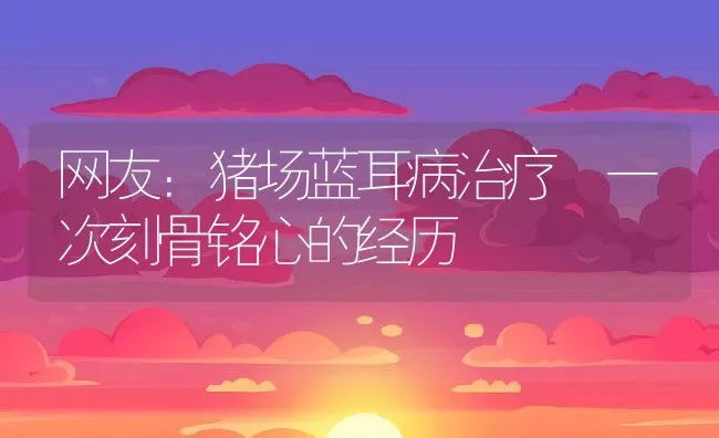 网友：猪场蓝耳病治疗 一次刻骨铭心的经历 | 动物养殖学堂