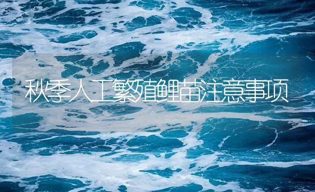 秋季人工繁殖鲤苗注意事项 | 海水养殖技术