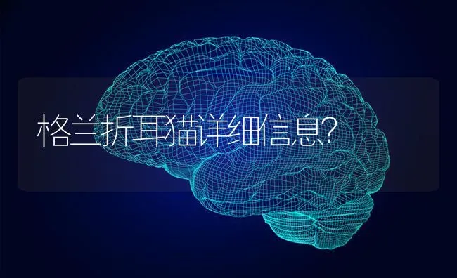 格兰折耳猫详细信息？ | 动物养殖问答