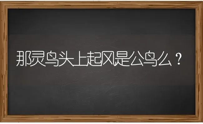 两个月大的布偶猫放在玻璃箱里单独养两个月对性格什么的要不要紧？ | 动物养殖问答