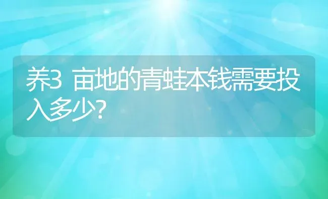 养3亩地的青蛙本钱需要投入多少？ | 动物养殖百科