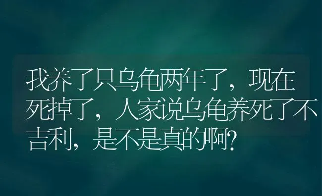 我养了只乌龟两年了，现在死掉了，人家说乌龟养死了不吉利，是不是真的啊？ | 动物养殖问答