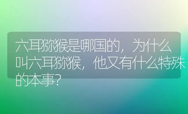 六耳猕猴是哪国的，为什么叫六耳猕猴，他又有什么特殊的本事？ | 动物养殖问答