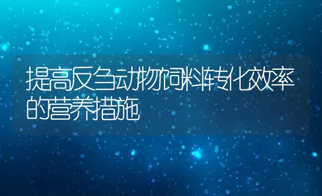 提高反刍动物饲料转化效率的营养措施 | 动物养殖饲料