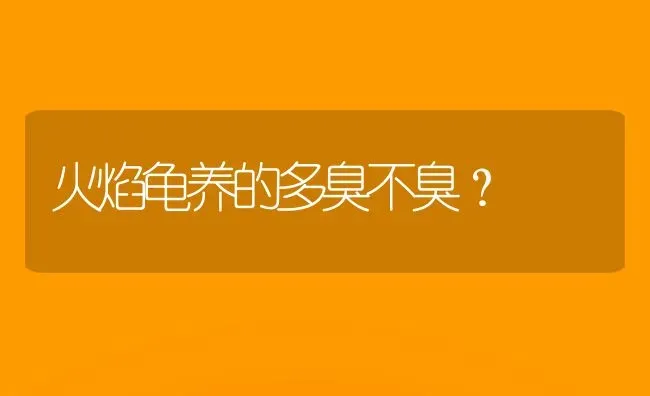 火焰龟养的多臭不臭？ | 动物养殖问答