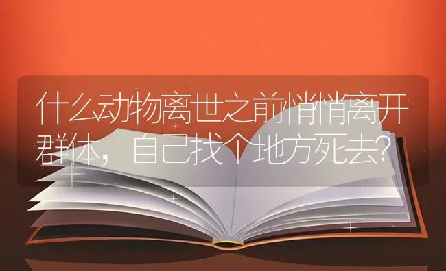 什么动物离世之前悄悄离开群体，自己找个地方死去？ | 动物养殖问答