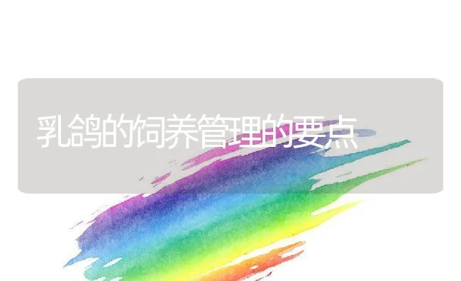 鹿筋加工技术 | 动物养殖学堂