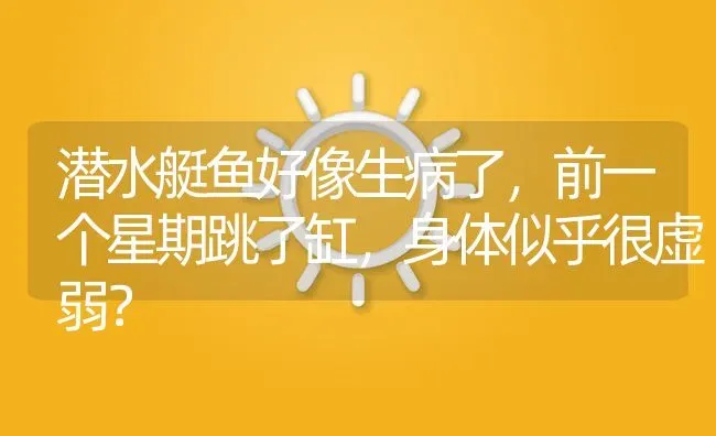 潜水艇鱼好像生病了，前一个星期跳了缸，身体似乎很虚弱？ | 鱼类宠物饲养