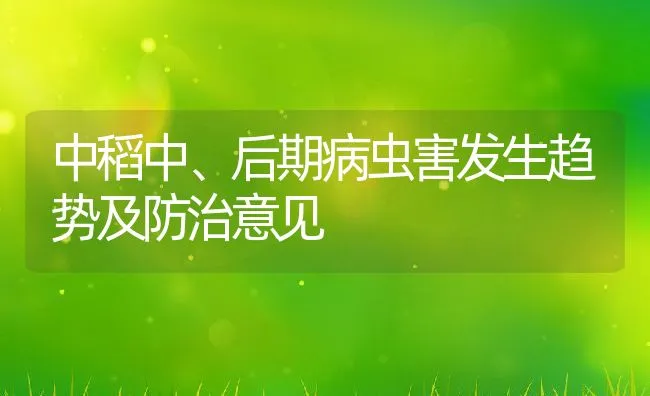 中稻中、后期病虫害发生趋势及防治意见 | 水产养殖知识