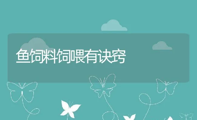 如何自制 兔灌药器 | 动物养殖学堂