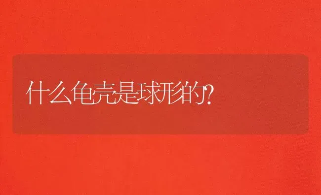 四个月的萨摩能长多大？ | 动物养殖问答