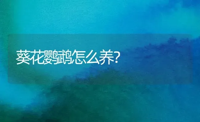 葵花鹦鹉怎么养？ | 动物养殖问答