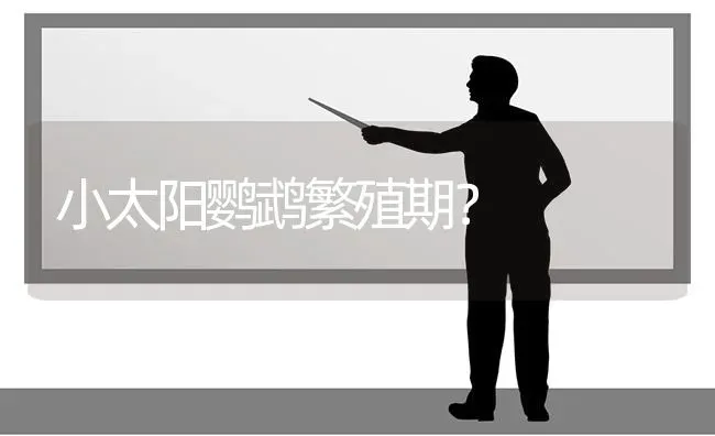 5公分火焰龟怎么过冬？ | 动物养殖问答