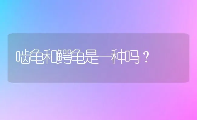 啮龟和鳄龟是一种吗？ | 动物养殖问答