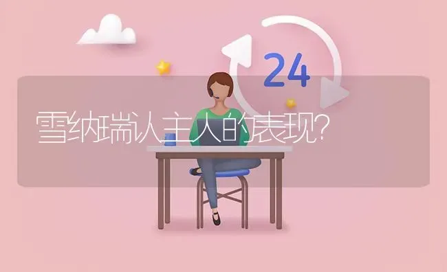 雪纳瑞认主人的表现？ | 动物养殖问答