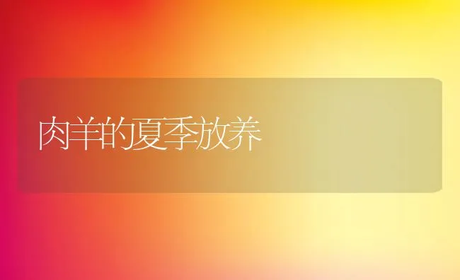 肉羊的夏季放养 | 动物养殖学堂