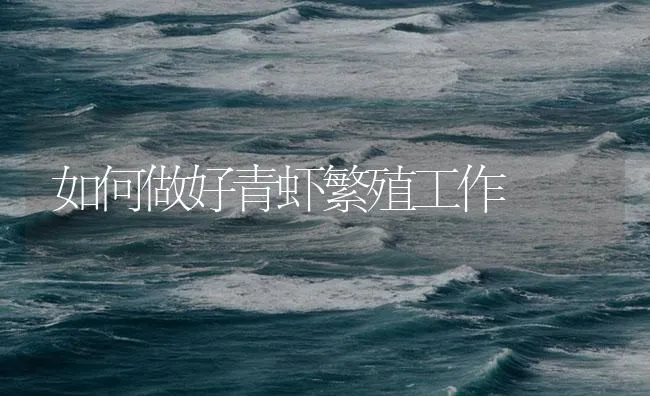 如何做好青虾繁殖工作 | 海水养殖技术