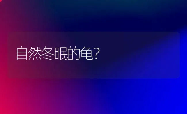 自然冬眠的龟？ | 动物养殖问答