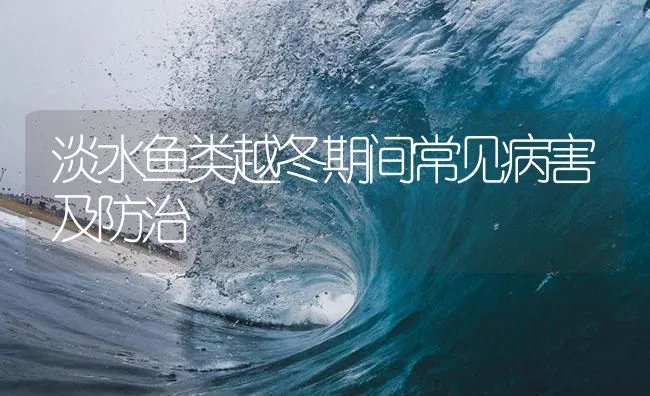 淡水鱼类越冬期间常见病害及防治 | 海水养殖技术