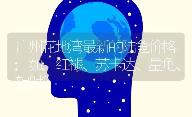 广州花地湾最新的陆龟价格;如;红褪、苏卡达、星龟、辐射？ | 动物养殖问答