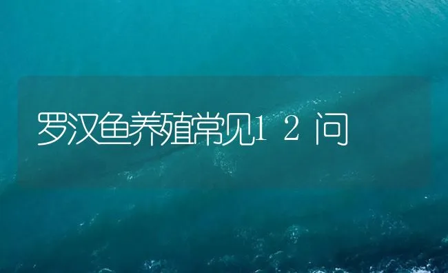 罗汉鱼养殖常见12问 | 海水养殖技术